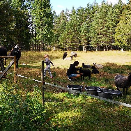 Trysunda Vandrarhem&Skärgårdscafé Vandrarhem Exteriör bild