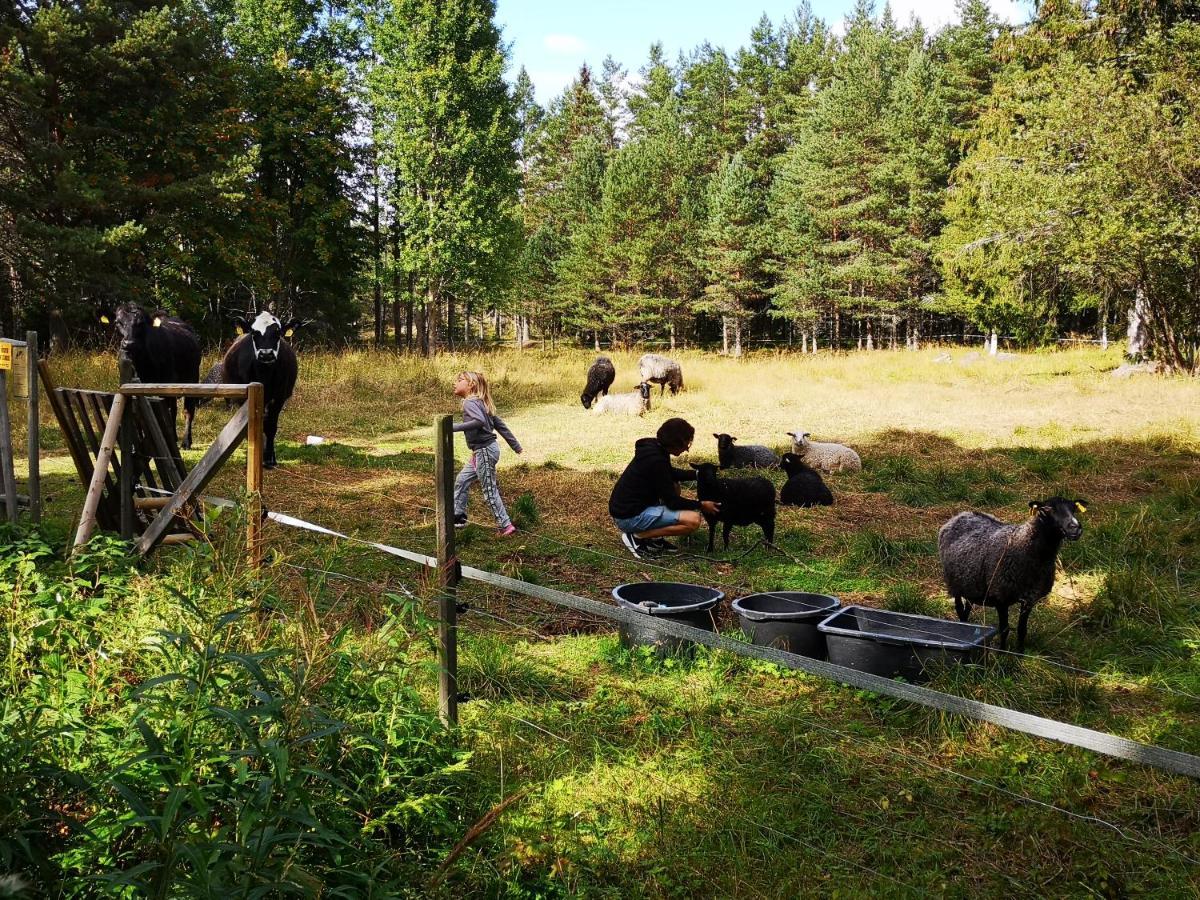 Trysunda Vandrarhem&Skärgårdscafé Vandrarhem Exteriör bild